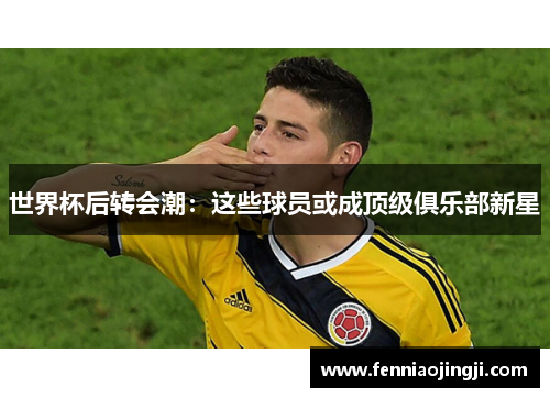 世界杯后转会潮:这些球员或成顶级俱乐部新星 世界杯后转会潮:这些球员或成顶级俱乐部新星